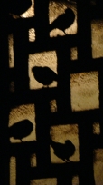 Pigeon B'n'B as seen from Mara's terrace in Dorćol